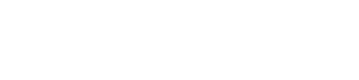 LevoraSoft logo